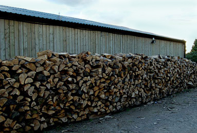 Firewood log storage